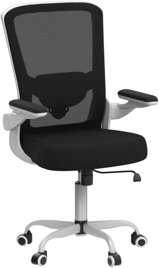 Sytas Ergonomic Mesh Office Chair, Home Office Desk Chairs Ergonomic