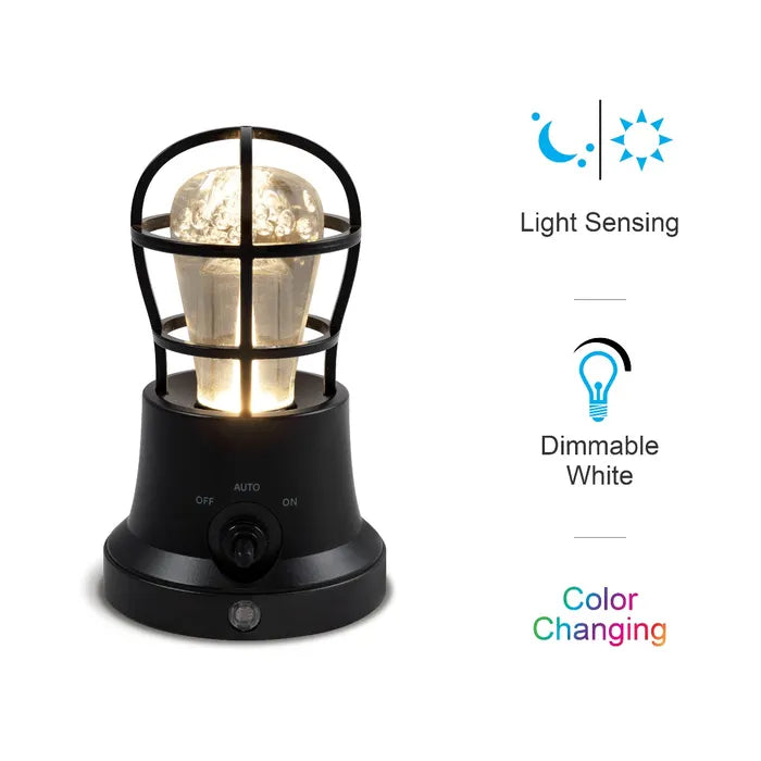 GE Vintage Cage Frame Color Changing Light Sensing LED Night Light, Black
