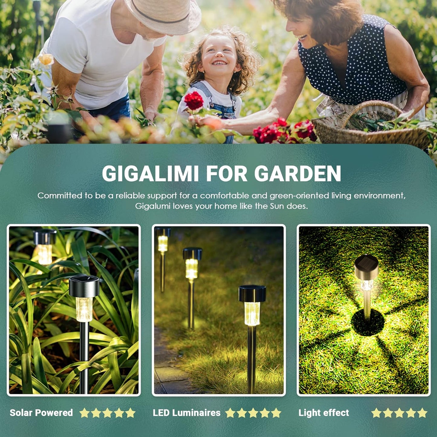 16 Pack Stainless Steel LED Solar Garden Lights