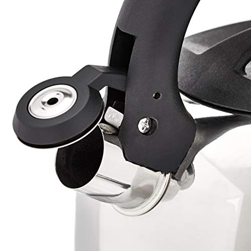 Amazon Basics Stainless Steel Tea Kettle, 2.0-Quart, Silver