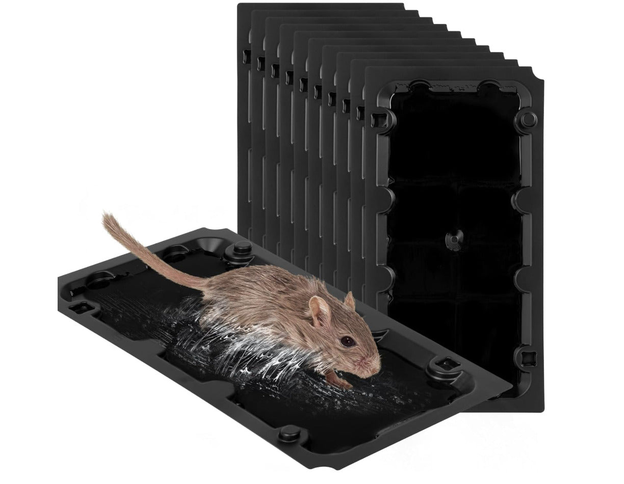 10-Pack Large Glue Traps – Rats, Mice, Snakes & Crawling Insects