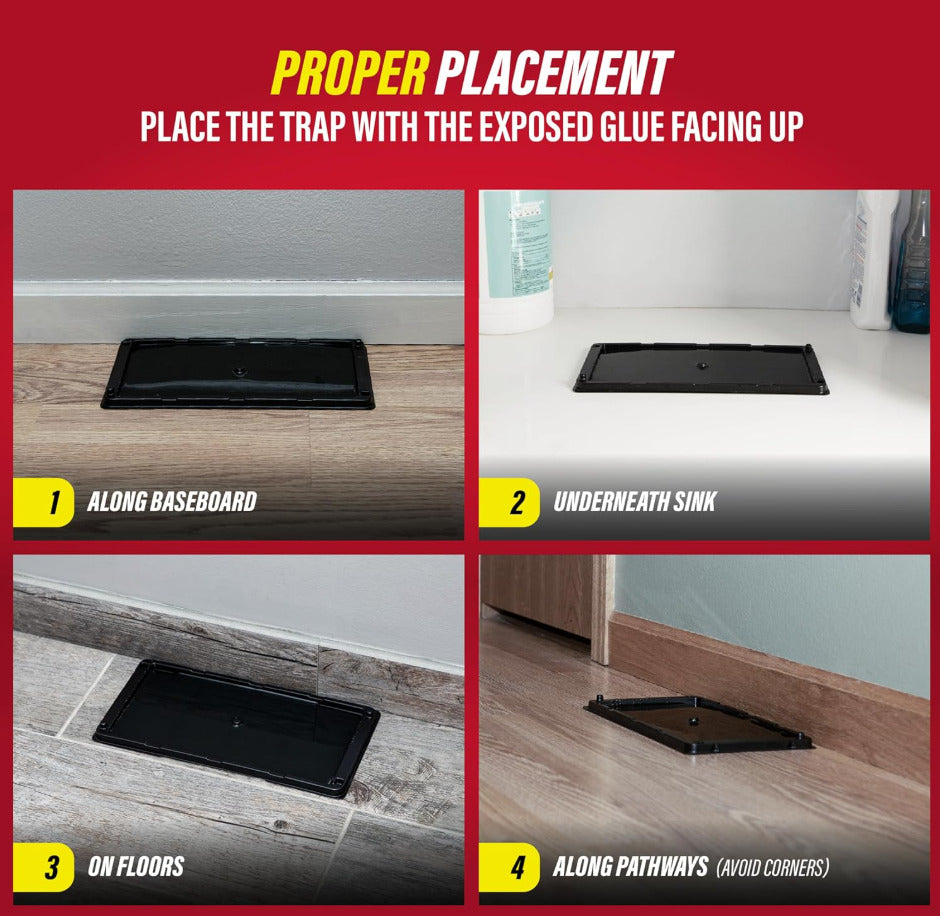 10-Pack Large Glue Traps – Rats, Mice, Snakes & Crawling Insects