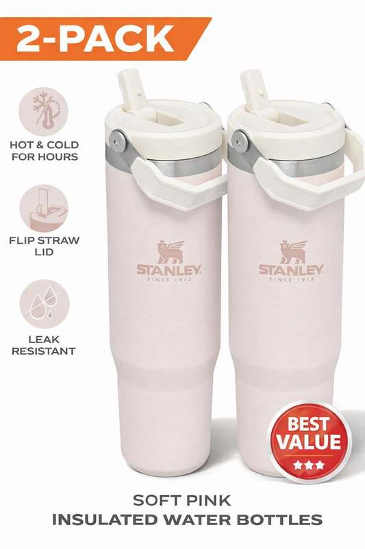 2 Pack STANLEY IceFlow Flip Straw Tumbler with Handle 30 oz