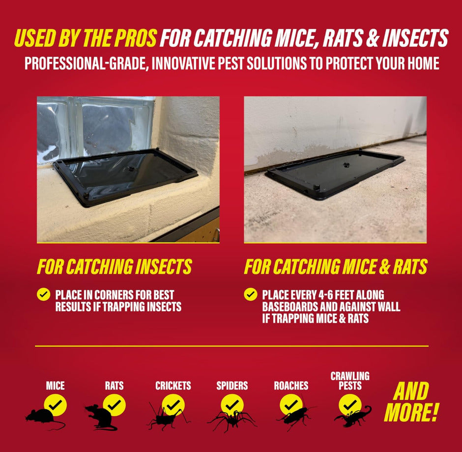 10-Pack Large Glue Traps – Rats, Mice, Snakes & Crawling Insects