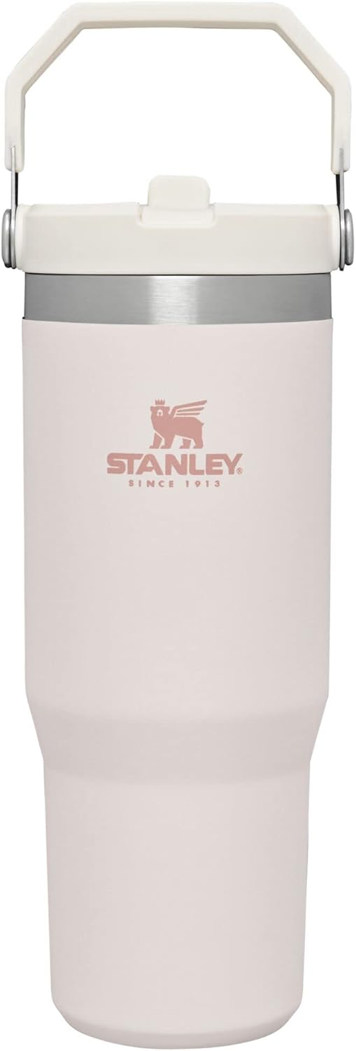 2 Pack STANLEY IceFlow Flip Straw Tumbler with Handle 30 oz