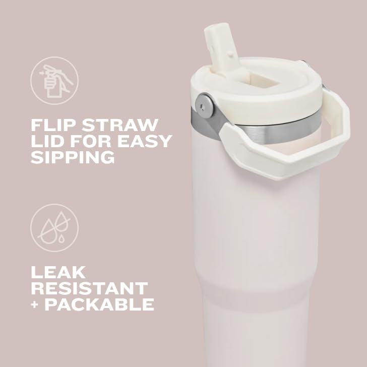 2 Pack STANLEY IceFlow Flip Straw Tumbler with Handle 30 oz