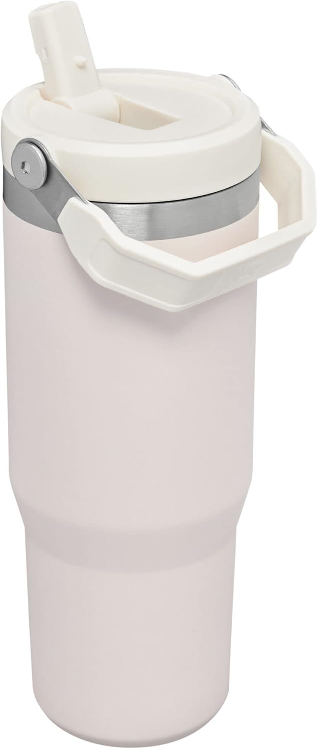 2 Pack STANLEY IceFlow Flip Straw Tumbler with Handle 30 oz