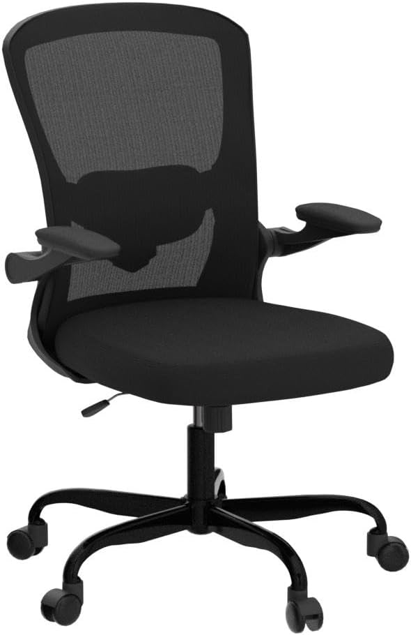 Sytas Ergonomic Mesh Office Chair, Home Office Desk Chairs Ergonomic