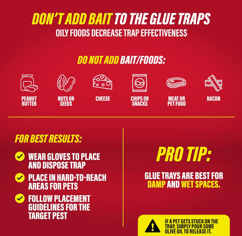 10-Pack Large Glue Traps – Rats, Mice, Snakes & Crawling Insects