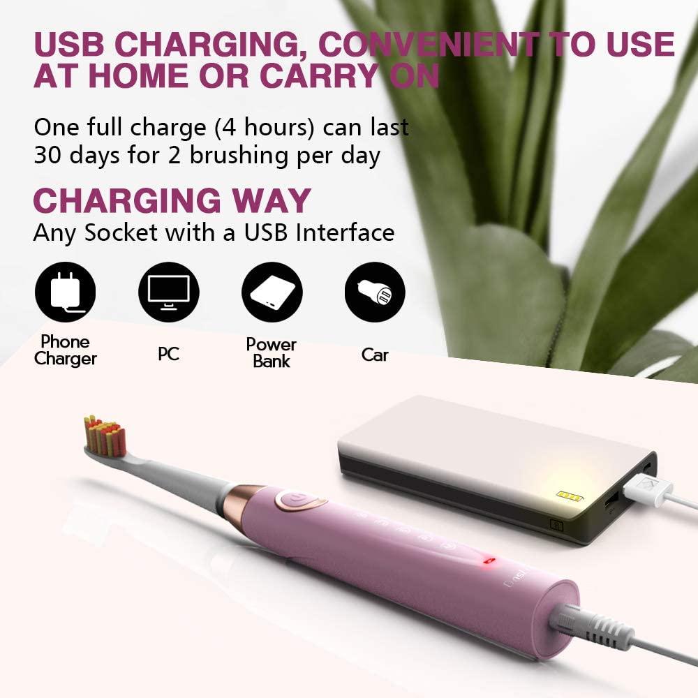Dnsly Rechargeable Ultrasonic Toothbrush (Pink) + 8 Brush Heads