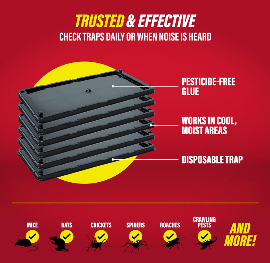 10-Pack Large Glue Traps – Rats, Mice, Snakes & Crawling Insects