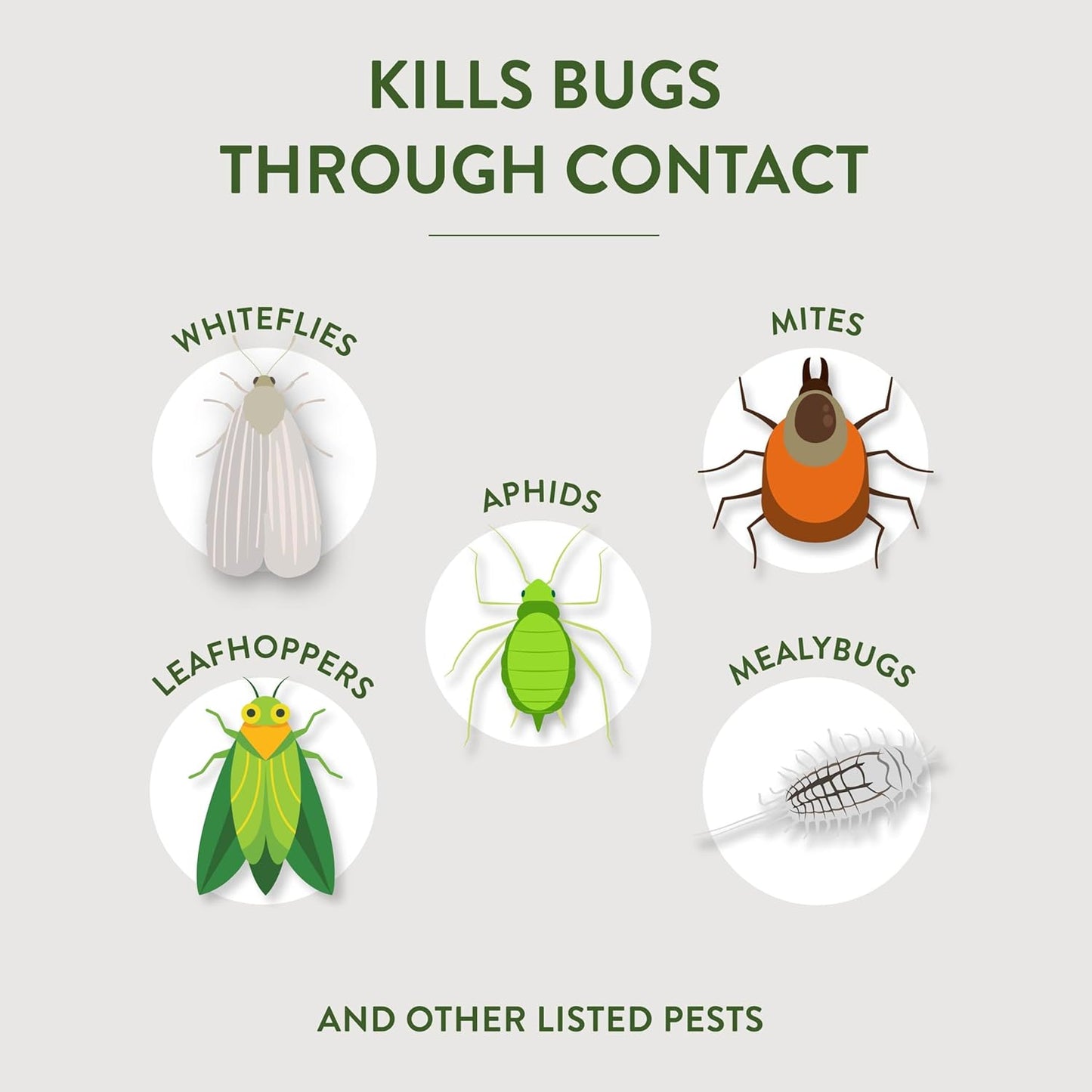 3 Pack Garden Safe Brand Insecticidal Soap Insect Killer, 32 Fluid Ounces