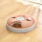Automatic Pet Feeder with 6 Portions by Amazon Basics