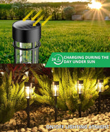 Hakol 8 Pack LED Solar Lights Outdoor Waterproof 3000k