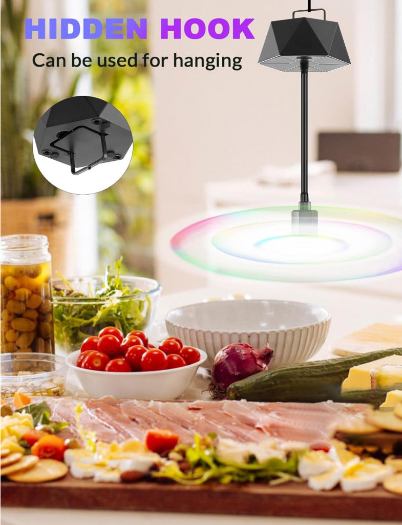 4 Pack Fly Fans for Tables