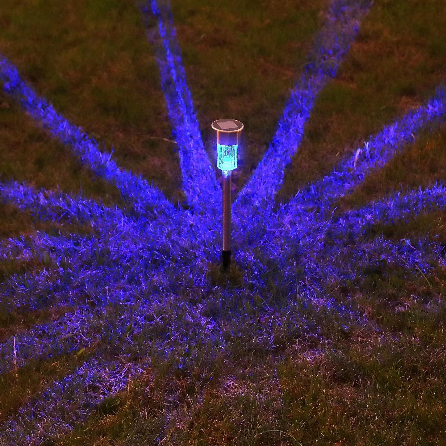 10 Pack Solar Patio Garden Path Lights