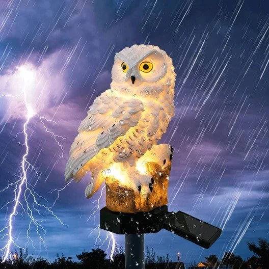 2 Pack Owl Figure Solar LED Lights