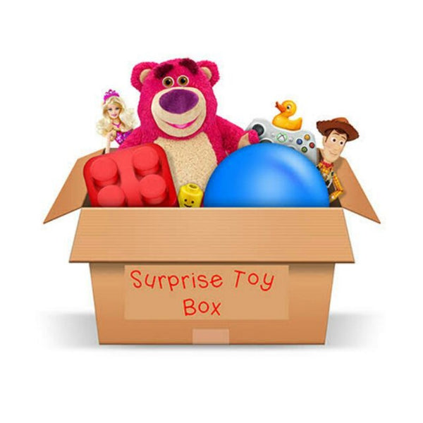 Surprise Mystery Toy Box
